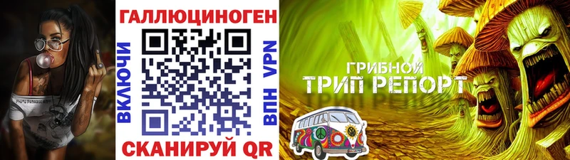 Галлюциногенные грибы мицелий  Чита 
