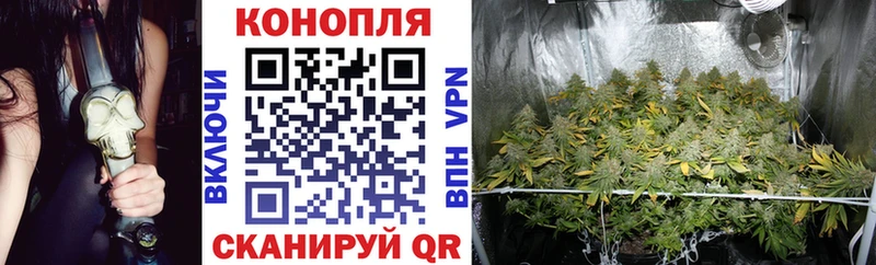 Конопля план  где продают наркотики  Чита 
